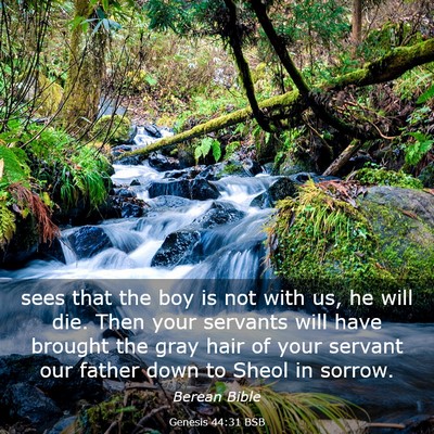 Picture 03 - Genesis 44:31 BSB - sees that the boy is not with us, he will die. - Bible Verse Picture