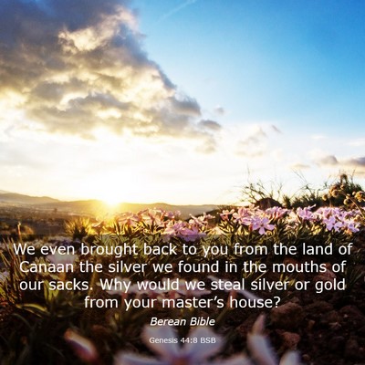 Picture 03 - Genesis 44:8 BSB - We even brought back to you from the land of - Bible Verse Picture