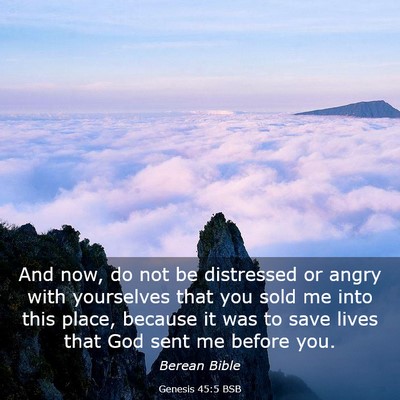 Picture 03 - Genesis 45:5 BSB - And now, do not be distressed or angry with - Bible Verse Picture
