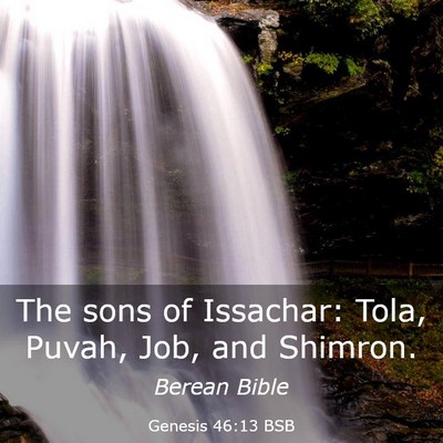 Picture 03 - Genesis 46:13 BSB - The sons of Issachar: Tola, Puvah, Job, and - Bible Verse Picture