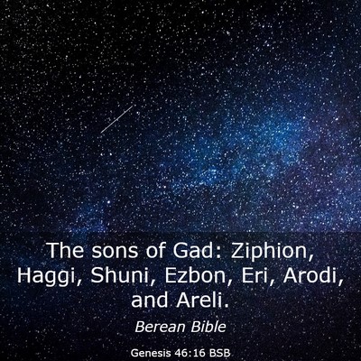 Picture 03 - Genesis 46:16 BSB - The sons of Gad: Ziphion, Haggi, Shuni, Ezbon, - Bible Verse Picture