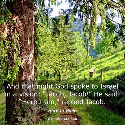 Picture 03 - Genesis 46:2 BSB - And that night God spoke to Israel in a vision: - Bible Verse Picture