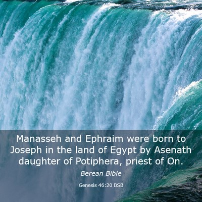 Picture 03 - Genesis 46:20 BSB - Manasseh and Ephraim were born to Joseph in the - Bible Verse Picture