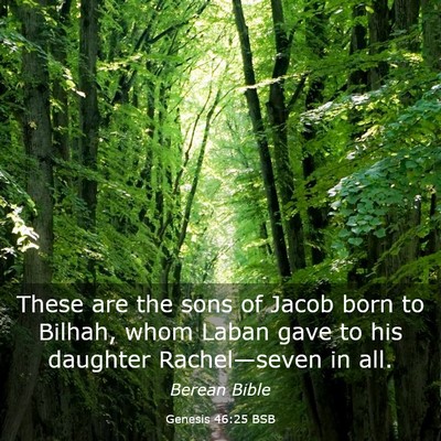 Picture 03 - Genesis 46:25 BSB - These are the sons of Jacob born to Bilhah, whom - Bible Verse Picture