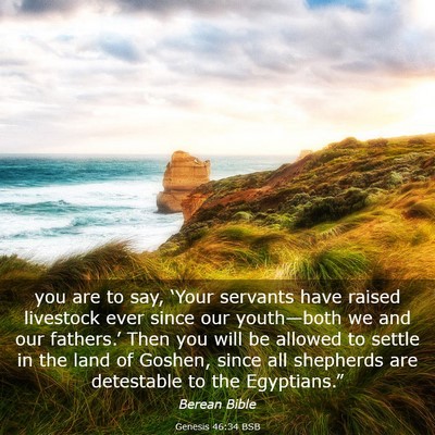 Picture 03 - Genesis 46:34 BSB - you are to say, ‘Your servants have raised - Bible Verse Picture