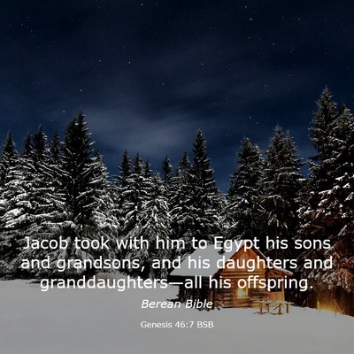Picture 03 - Genesis 46:7 BSB - Jacob took with him to Egypt his sons and - Bible Verse Picture