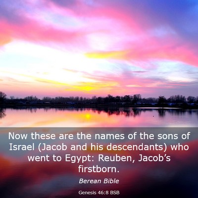 Picture 03 - Genesis 46:8 BSB - Now these are the names of the sons of Israel - Bible Verse Picture