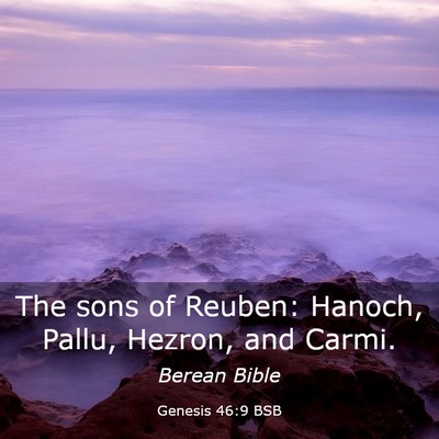 Picture 03 - Genesis 46:9 BSB - The sons of Reuben: Hanoch, Pallu, Hezron, and - Bible Verse Picture