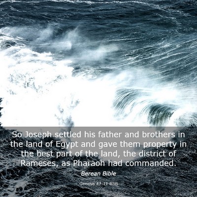 Picture 03 - Genesis 47:11 BSB - So Joseph settled his father and brothers in the - Bible Verse Picture