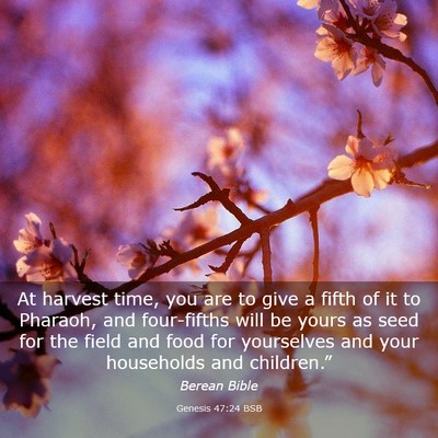 Picture 03 - Genesis 47:24 BSB - At harvest time, you are to give a fifth of it to - Bible Verse Picture