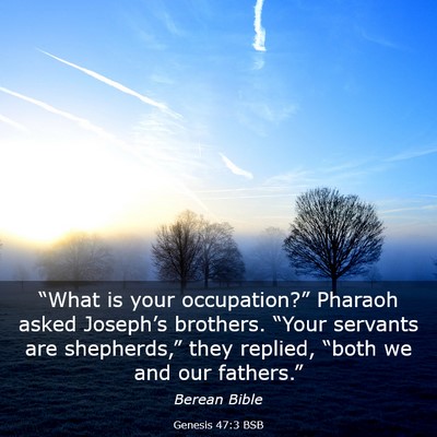 Picture 03 - Genesis 47:3 BSB - “What is your occupation?” Pharaoh asked - Bible Verse Picture