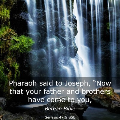 Picture 03 - Genesis 47:5 BSB - Pharaoh said to Joseph, “Now that your father - Bible Verse Picture