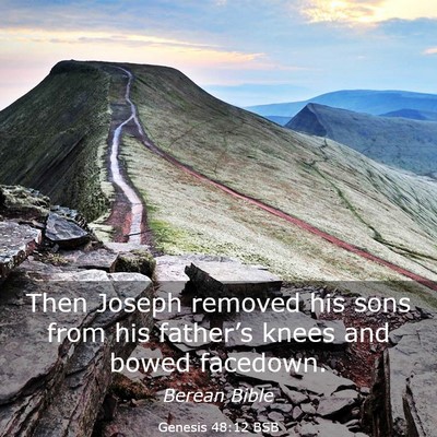 Picture 03 - Genesis 48:12 BSB - Then Joseph removed his sons from his father’s - Bible Verse Picture