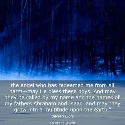Picture 03 - Genesis 48:16 BSB - the angel who has redeemed me from all harm—may - Bible Verse Picture