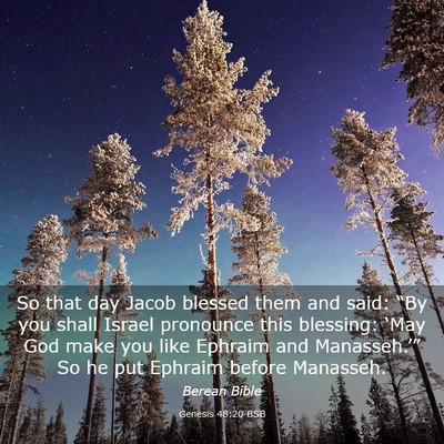 Picture 03 - Genesis 48:20 BSB - So that day Jacob blessed them and said: “By - Bible Verse Picture