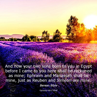 Picture 03 - Genesis 48:5 BSB - And now your two sons born to you in Egypt before - Bible Verse Picture