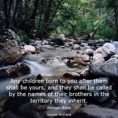 Picture 03 - Genesis 48:6 BSB - Any children born to you after them shall be - Bible Verse Picture