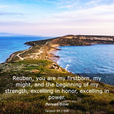 Picture 03 - Genesis 49:3 BSB - Reuben, you are my firstborn, my might, and the - Bible Verse Picture