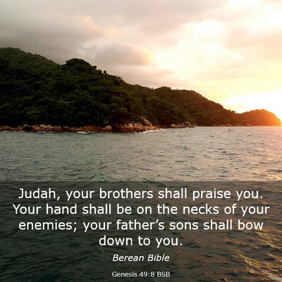 Picture 03 - Genesis 49:8 BSB - Judah, your brothers shall praise you. Your hand - Bible Verse Picture