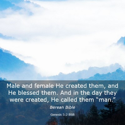 Picture 03 - Genesis 5:2 BSB - Male and female He created them, and He blessed - Bible Verse Picture