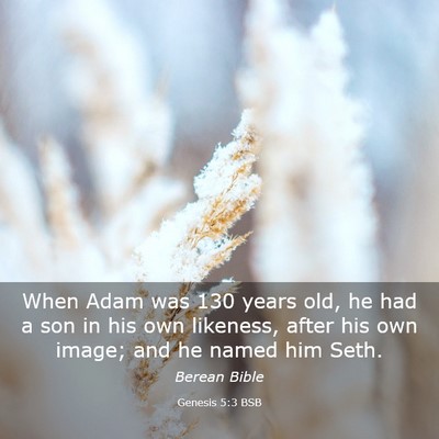Picture 03 - Genesis 5:3 BSB - When Adam was 130 years old, he had a son in his - Bible Verse Picture