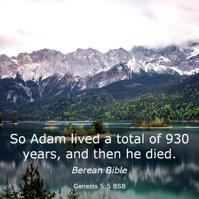 Picture 03 - Genesis 5:5 BSB - So Adam lived a total of 930 years, and then he - Bible Verse Picture