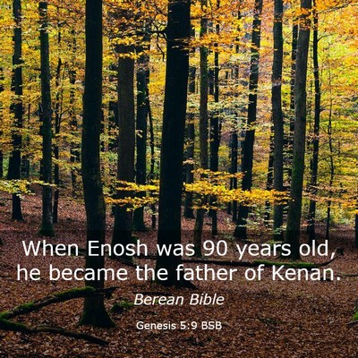Picture 03 - Genesis 5:9 BSB - When Enosh was 90 years old, he became the father - Bible Verse Picture