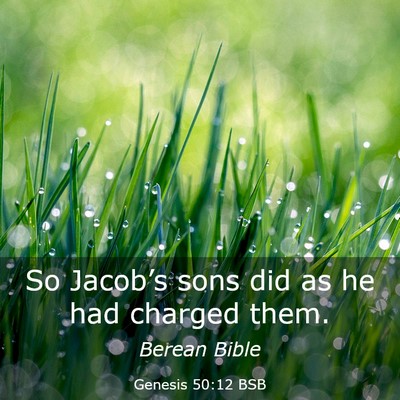 Picture 03 - Genesis 50:12 BSB - So Jacob’s sons did as he had charged - Bible Verse Picture