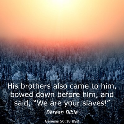 Picture 03 - Genesis 50:18 BSB - His brothers also came to him, bowed down before - Bible Verse Picture