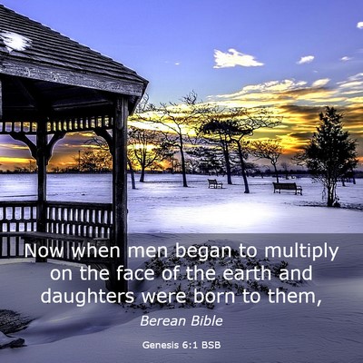 Picture 03 - Genesis 6:1 BSB - Now when men began to multiply on the face of the - Bible Verse Picture
