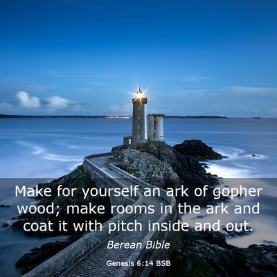 Picture 03 - Genesis 6:14 BSB - Make for yourself an ark of gopher wood; make - Bible Verse Picture