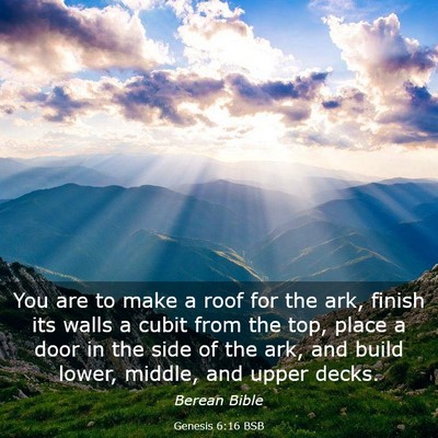 Picture 03 - Genesis 6:16 BSB - You are to make a roof for the ark, finish its - Bible Verse Picture