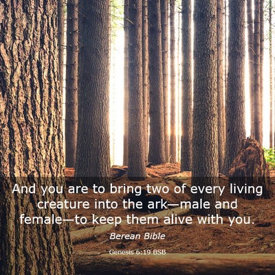 Picture 03 - Genesis 6:19 BSB - And you are to bring two of every living creature - Bible Verse Picture
