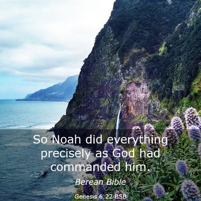 Picture 03 - Genesis 6:22 BSB - So Noah did everything precisely as God had - Bible Verse Picture