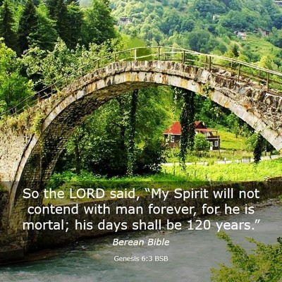 Picture 03 - Genesis 6:3 BSB - So the LORD said, “My Spirit will not contend - Bible Verse Picture