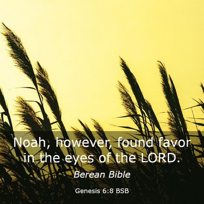 Picture 03 - Genesis 6:8 BSB - Noah, however, found favor in the eyes of the - Bible Verse Picture
