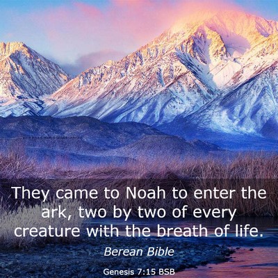 Picture 03 - Genesis 7:15 BSB - They came to Noah to enter the ark, two by two of - Bible Verse Picture