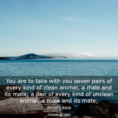 Picture 03 - Genesis 7:2 BSB - You are to take with you seven pairs of every - Bible Verse Picture