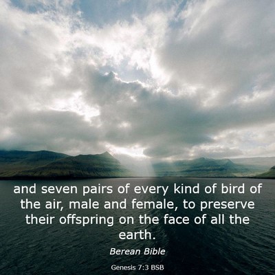 Picture 03 - Genesis 7:3 BSB - and seven pairs of every kind of bird of the air, - Bible Verse Picture