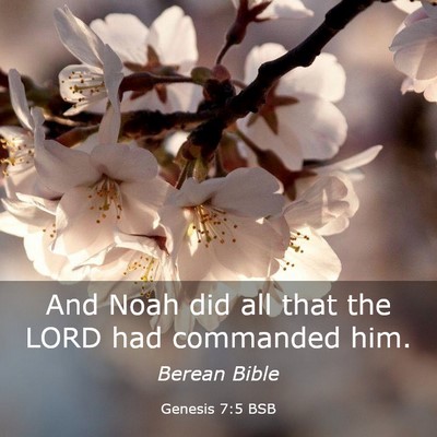 Picture 03 - Genesis 7:5 BSB - And Noah did all that the LORD had commanded - Bible Verse Picture