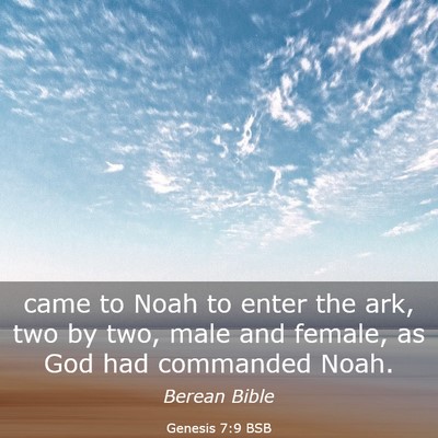 Picture 03 - Genesis 7:9 BSB - came to Noah to enter the ark, two by two, male - Bible Verse Picture