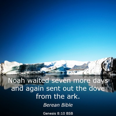 Picture 03 - Genesis 8:10 BSB - Noah waited seven more days and again sent out - Bible Verse Picture
