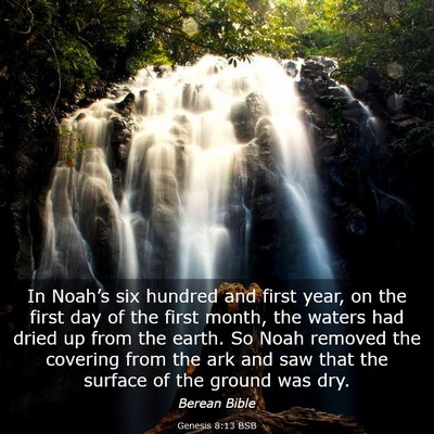 Picture 03 - Genesis 8:13 BSB - In Noah’s six hundred and first year, on the - Bible Verse Picture