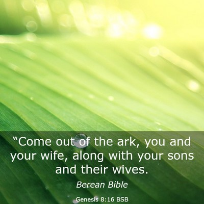 Picture 03 - Genesis 8:16 BSB - “Come out of the ark, you and your wife, along - Bible Verse Picture