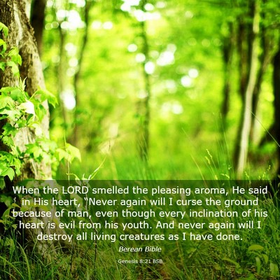 Picture 03 - Genesis 8:21 BSB - When the LORD smelled the pleasing aroma, He said - Bible Verse Picture