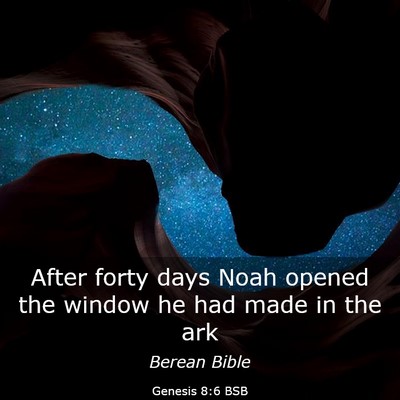 Picture 03 - Genesis 8:6 BSB - After forty days Noah opened the window he had - Bible Verse Picture