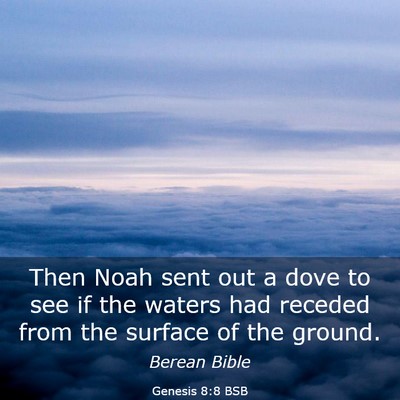 Picture 03 - Genesis 8:8 BSB - Then Noah sent out a dove to see if the waters - Bible Verse Picture