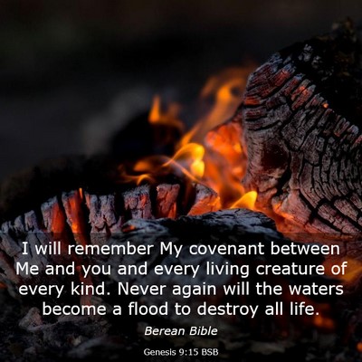 Picture 03 - Genesis 9:15 BSB - I will remember My covenant between Me and you - Bible Verse Picture