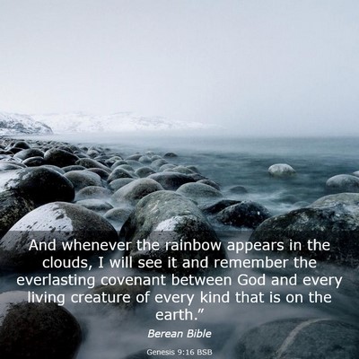 Picture 03 - Genesis 9:16 BSB - And whenever the rainbow appears in the clouds, I - Bible Verse Picture