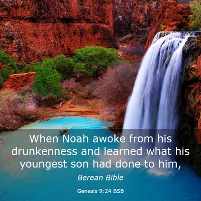 Picture 03 - Genesis 9:24 BSB - When Noah awoke from his drunkenness and learned - Bible Verse Picture